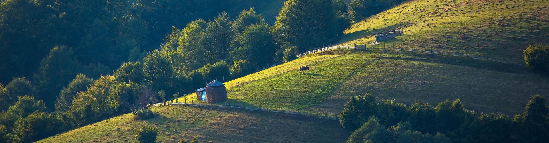 Zagospodaruj Zielone Podkarpacie - gra dydaktyczna