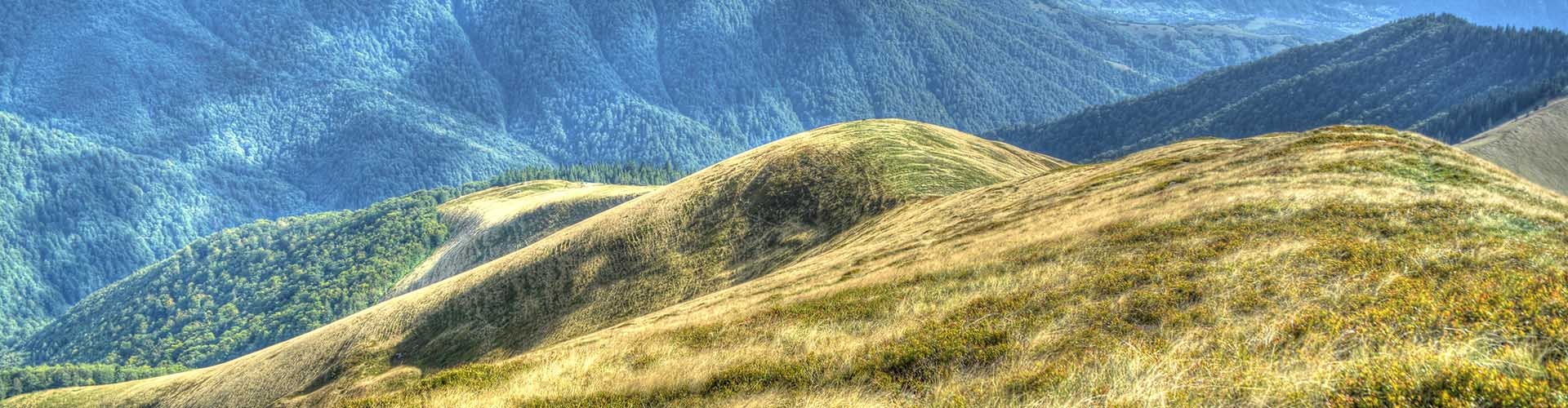 Beskid Niski, Bieszczady, Zakarpacie - przewodnik (2007)