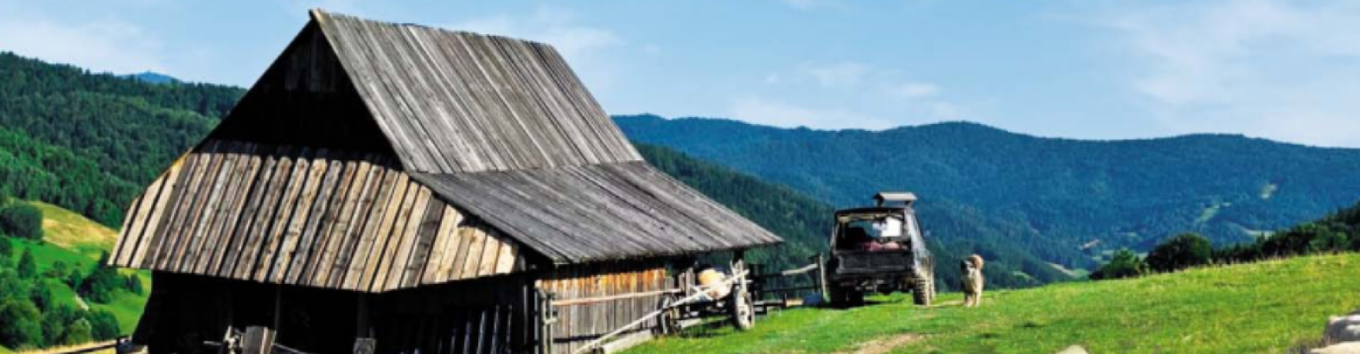 Karpacki Przegląd Społeczno-Kulturalny 3 (60) 2025