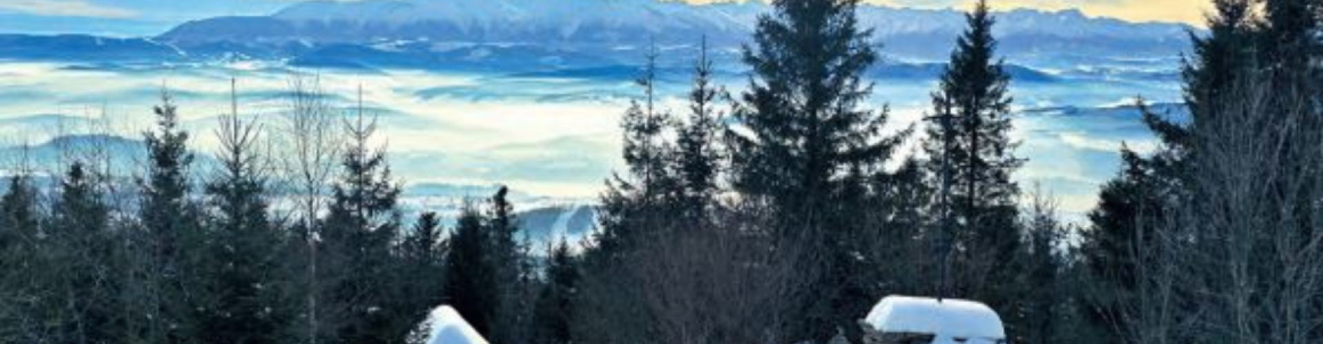 Karpacki Przegląd Społeczno-Kulturalny 4 (61) 2025