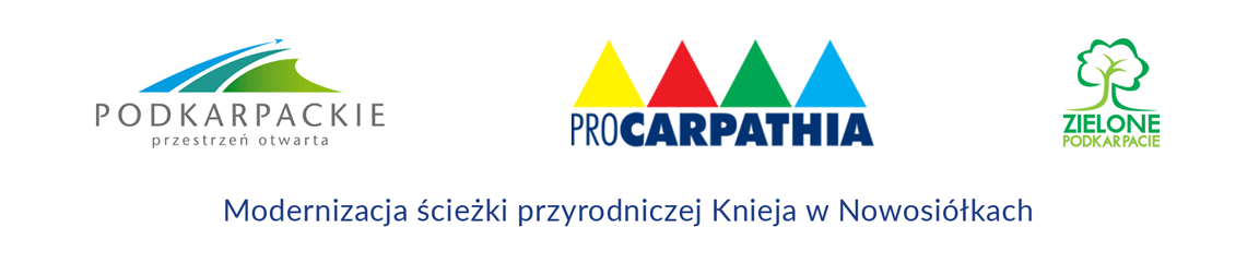 modernizacja sciezki loga opis