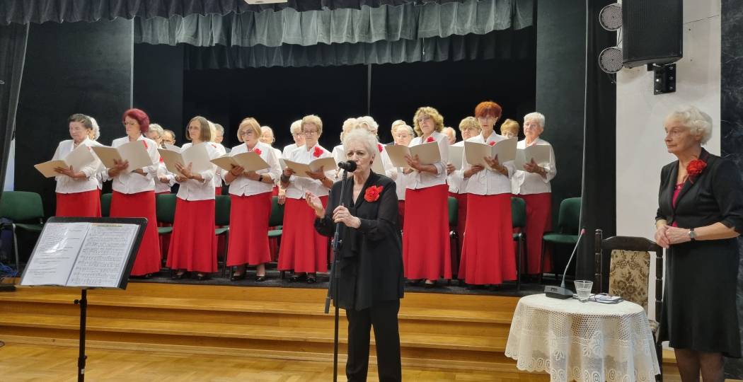 Koncert muzyczny - fotorelacja