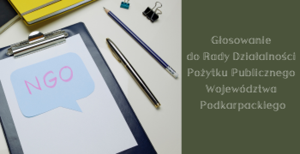 Głosowanie do Rady Działalności Pożytku Publicznego 